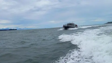 Interwencja portugalskich służb