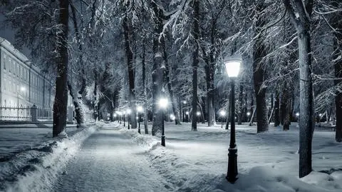 Noc, zima, śnieg, park