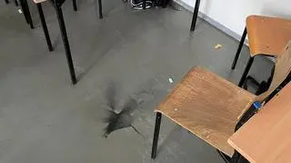 Wybuchł telefon w plecaku ucznia
