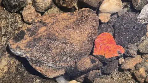 Realgar w Bieszczadach