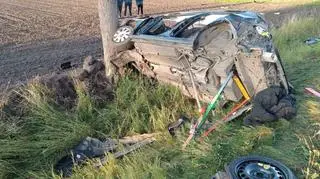 Samochód z trzema Brazylijczykami uderzył w drzewo