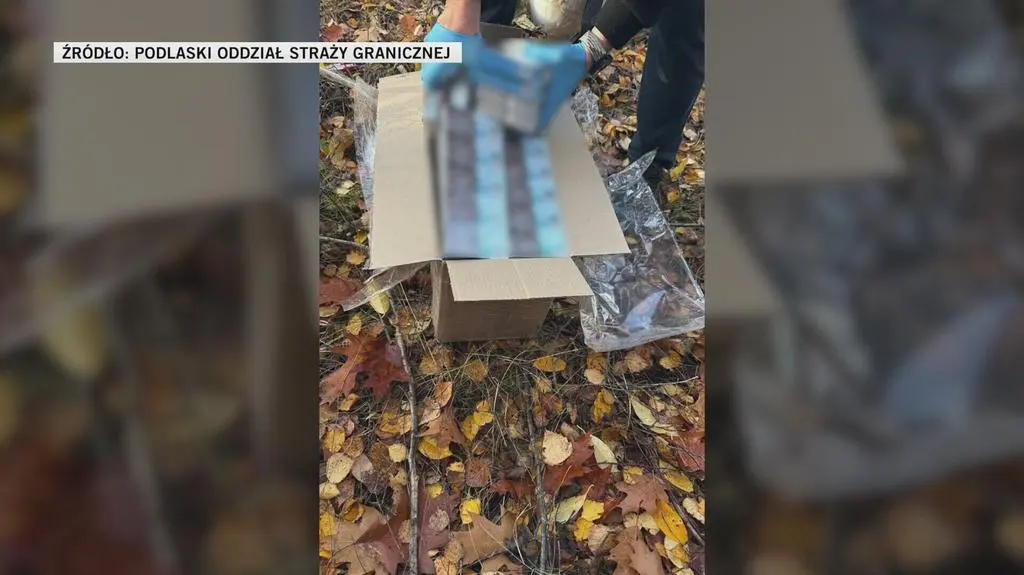 Klatka kluczowa-3434