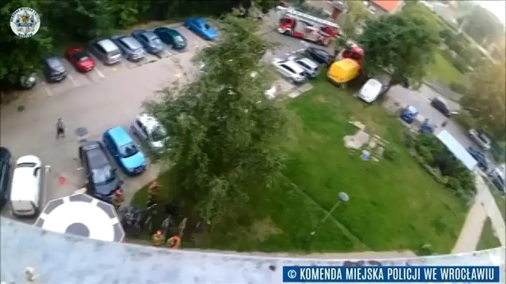Akcja służb