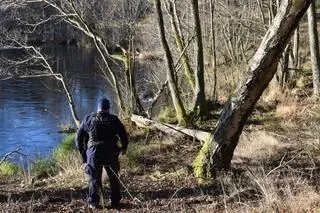 Dwa martwe psy znaleziono w jeziorze