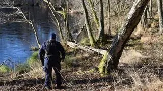 Myśliwy zastrzelił swoje dwa psy, bo "często uciekały"