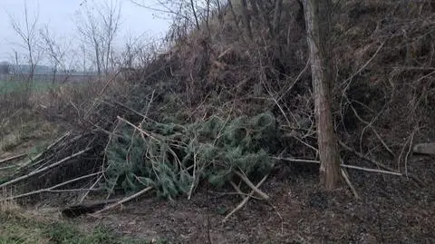 Tu ukrywała się kobieta