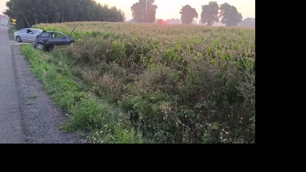 Projekt bez nazwy