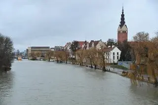 Przekroczenie stanu alarmowego na rzece Elbląg w Elblągu