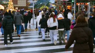 shutterstock_2567913645