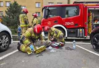 Strażacy wynieśli z pożaru psa i kota. "Nieważne, czy ktoś ma ręce, czy łapy"