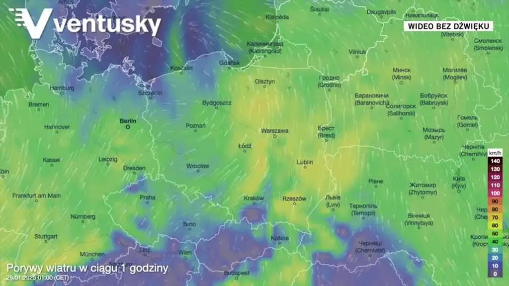 Prognozowane porywy wiatru w najbliższych dniach