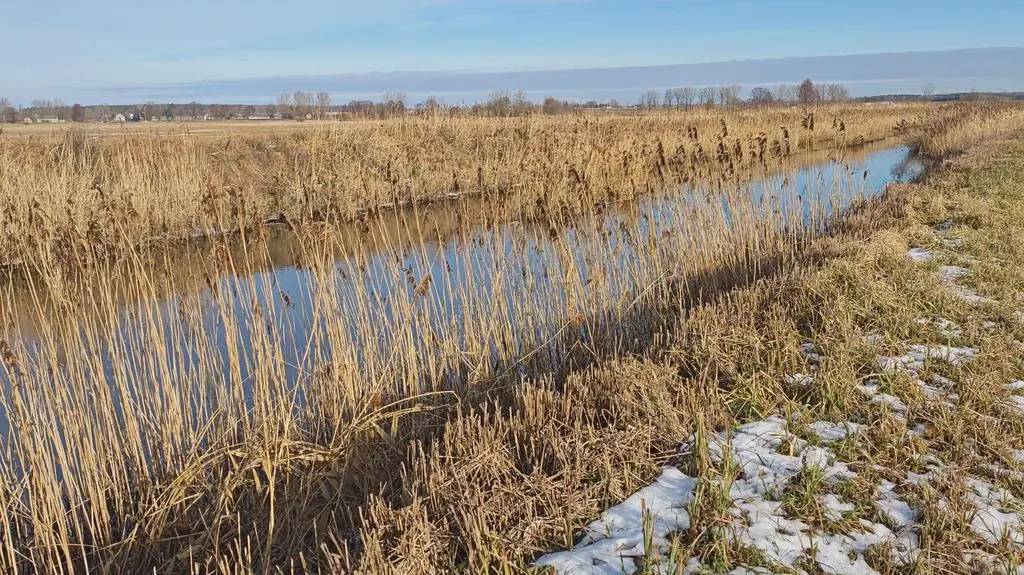 Klatka kluczowa-209604