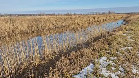 Klatka kluczowa-209604