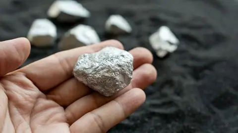 shutterstock_2453408987