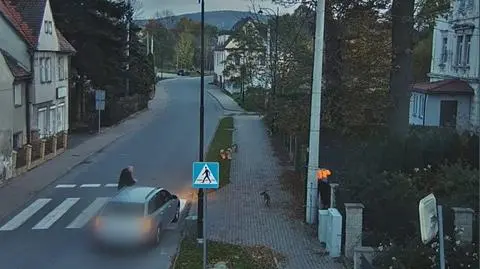 Kierowca zareagował na sytuację 