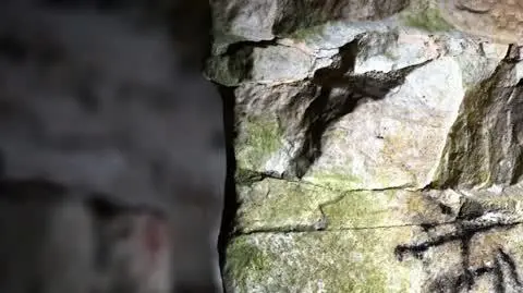 Muzeum Archeologiczne i Rezerwat Krzemionki