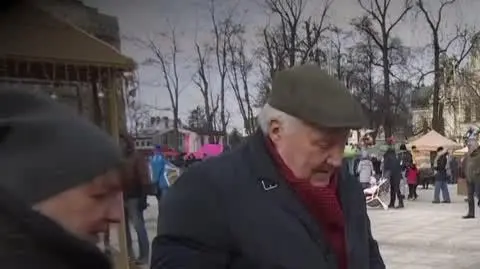 17N251 WOSP ZEBRANE KWOTY