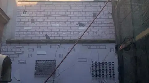 Zasypano część roślin