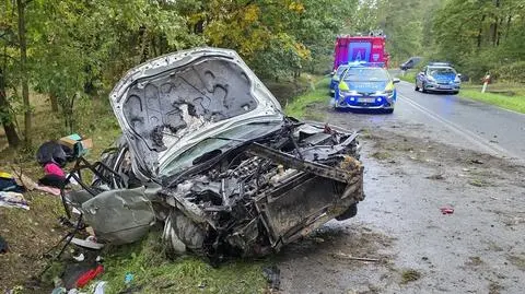 Rozbił auto uciekając przed policją