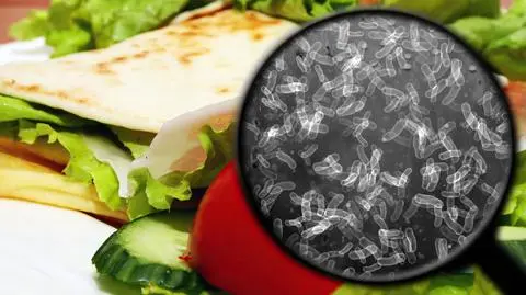 shutterstock_1957402561