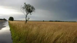 Czekają nas niespokojne chwile. Pogoda będzie dynamiczna