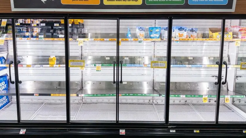 Obietnice, limity przy zakupie, nawet kradzieże. Kryzys jajeczny trwa