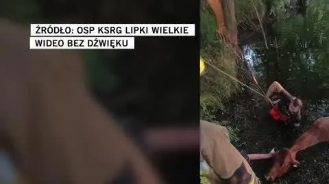 OSP KSRG Lipki Wielkie