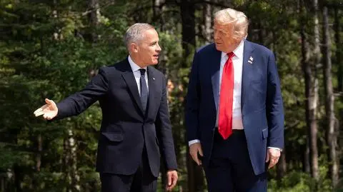 shutterstock_2643556471