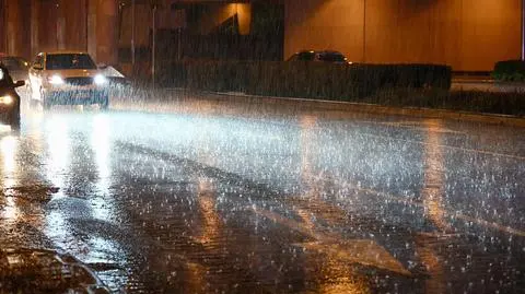 shutterstock_2370338309