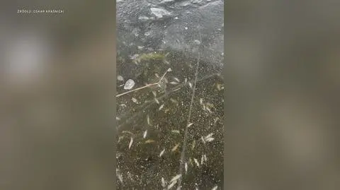 Klatka kluczowa-232748