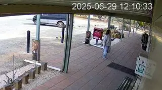 26-letnia niemiecka backpackerka Carolina Wilga zaginęła 29 czerwca w pobliżu miasteczka Beacon (nagranie z monitoringu stacji benzynowej)