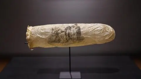 Zabytkowa prezerwatywa eksponowana w holenderskim Rijksmuseum
