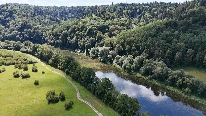 Jest dziko i zielono, ma być lunapark. "Chyba bym osiwiał"