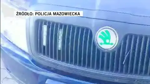 policja