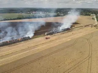 Pożar pola miejscowości Białaczów