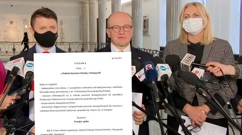 Eksperci o Polskim Instytucie Rodziny i Demografii: dublowanie istniejących jednostek. Których?