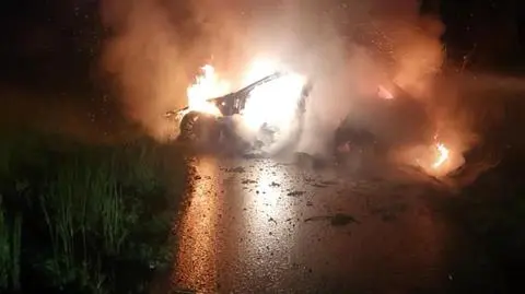 Samochód wyrwał drzewo z korzeniami i stanął w płomieniach. Ranne dwie osoby, w tym 14-latka