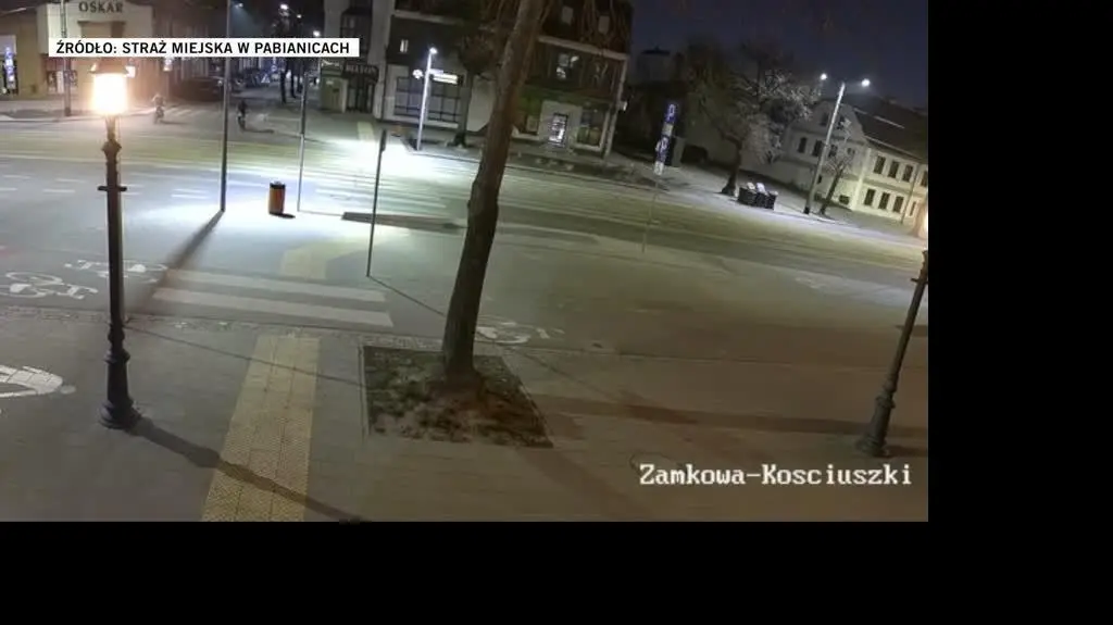  Straż Miejska w Pabianicach