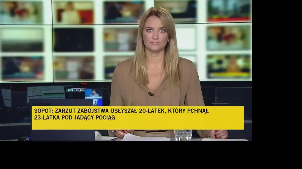 TVN24 Clean_20240818150046(13996)_aac