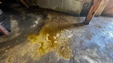 Inowrocław. Nielegalny zrzut niebezpiecznych odpadów do kanalizacji miejskiej