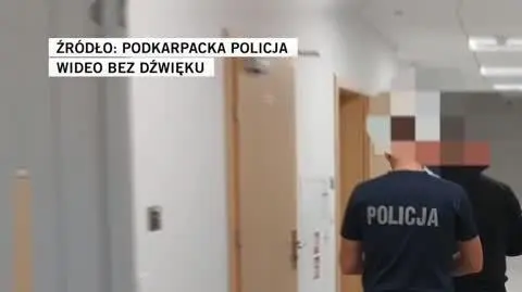 PODKARPACKA POLICJA