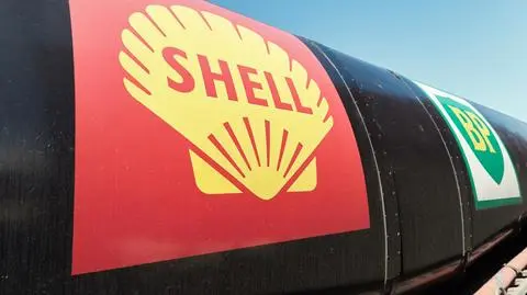shell - seeshooteatrepeat shutterstock_1710864616_1