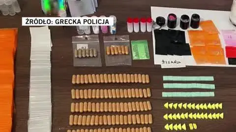 Grecka policja