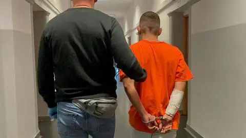 Areszt dla 28-latka za uśmiercenie dwóch psów ze szczególnym okrucieństwem i groźby wobec byłej partnerki