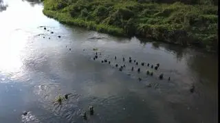 Z wody wynurzyły się słupy 