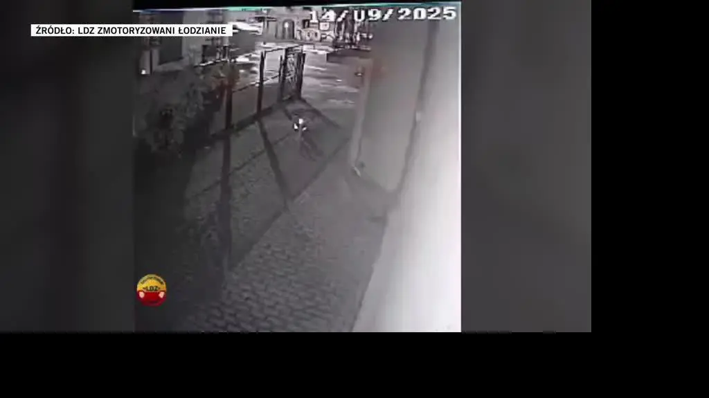 LDZ
