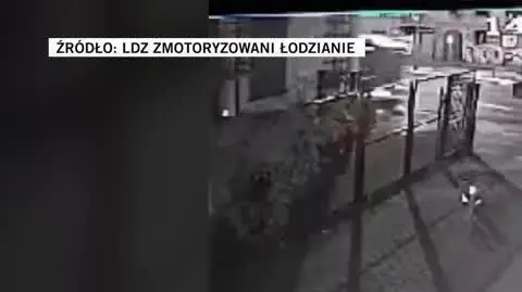 LDZ