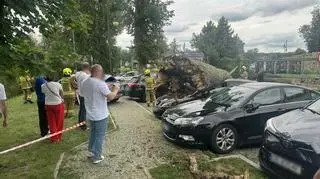 Drzewo przewróciło się na auta 