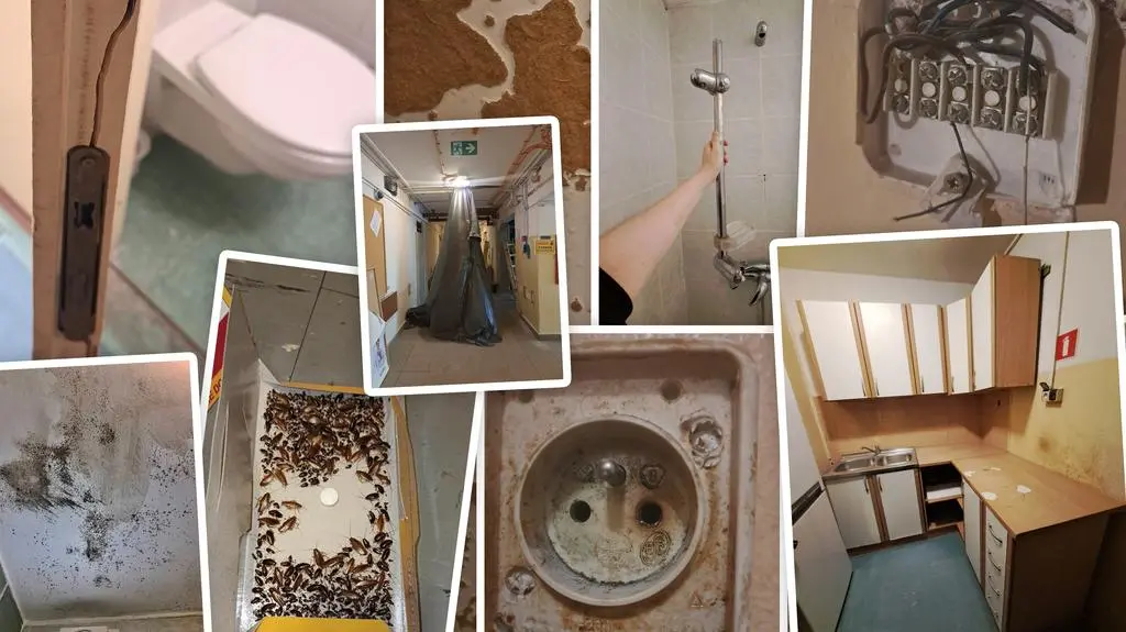 Pleśń, karaluchy, awarie wind i woda kapiąca z sufitu. Tak mieszkali studenci