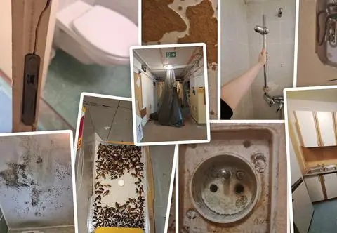 Pleśń, karaluchy, awarie wind i woda kapiąca z sufitu. Tak mieszkali studenci